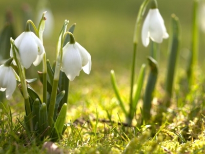 Slika za dogodek 13. Knjig v kvizarni