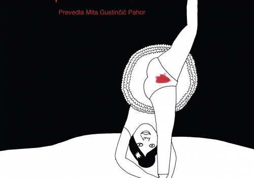 Liv Strömquist: Prepovedani sad