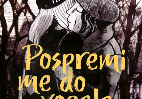 Anneli Furmark: Pospremi me do vogala